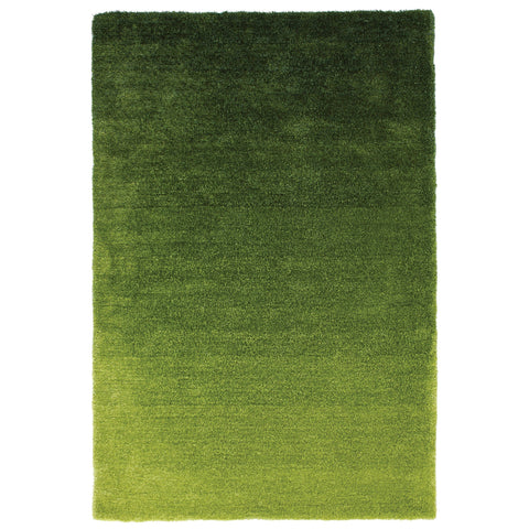 Image of Rio Green Area Rug RUGSANDROOMS 