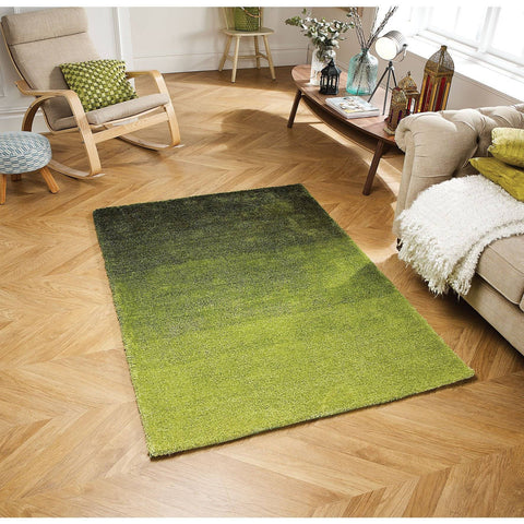 Image of Rio Green Area Rug RUGSANDROOMS 