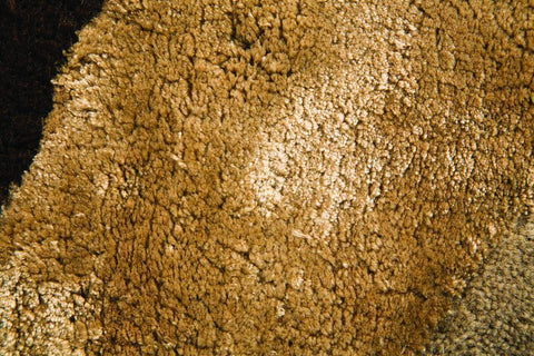 Image of Regina Brown/Taupe Area Rug RUGSANDROOMS 