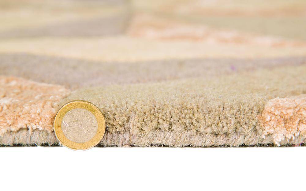 Regina Natural Area Rug RUGSANDROOMS 