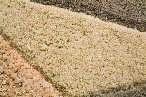 Image of Regina Natural Area Rug RUGSANDROOMS 