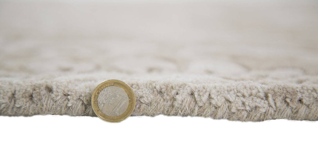 Runa Beige Area Rug RUGSANDROOMS 