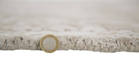 Image of Runa Beige Area Rug RUGSANDROOMS 
